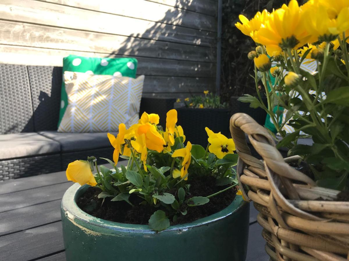 Apartment Zonnehoek アーフテーケルケ エクステリア 写真